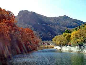 管家婆黑白马报图库，激光祛痘吧